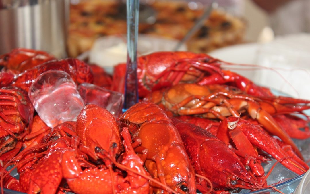 Come si mangia il gambero rosso di Mazara del Vallo?