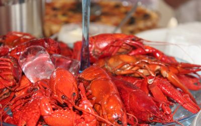 Come si mangia il gambero rosso di Mazara del Vallo?